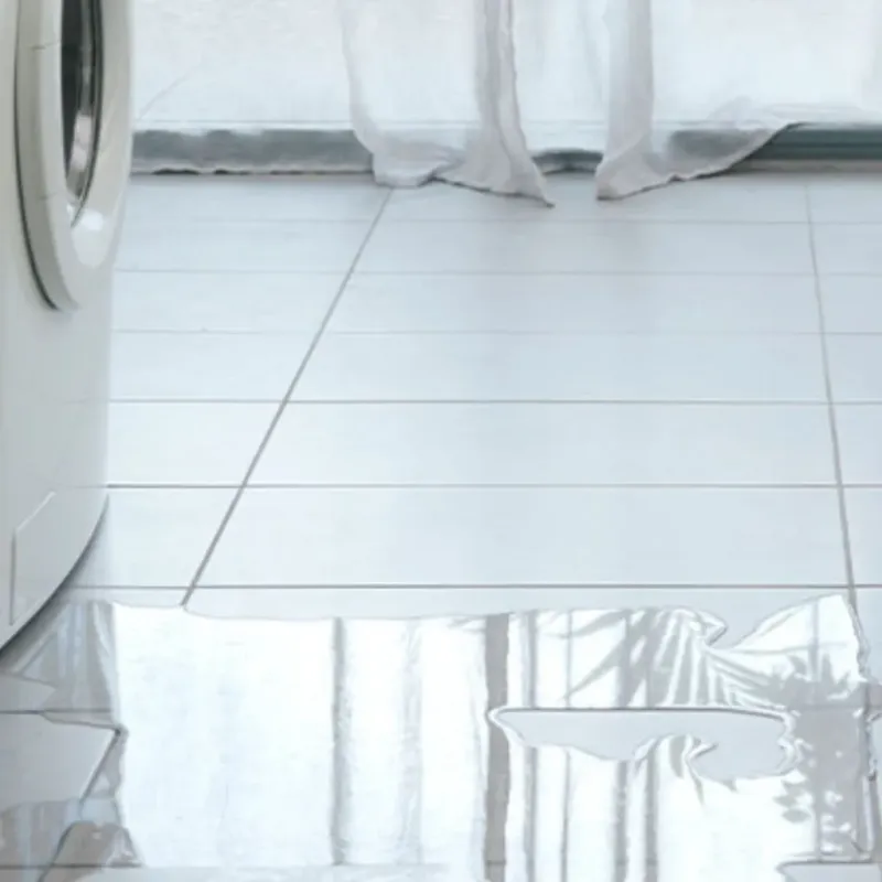 Appliance Leak Cleanup in Curry County, OR