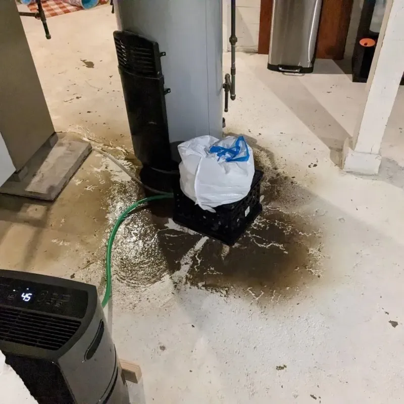 Sewage Backup Cleanup Service in Curry County, OR